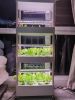 4 Layers 56 Holes Vertical Hydroponics Growing System with LED Light