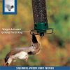 Squirrel-Proof Bird Feeder Outdoor Garden Decoration Automatic Bird Feeder Hanging Hummingbird Water Feeder